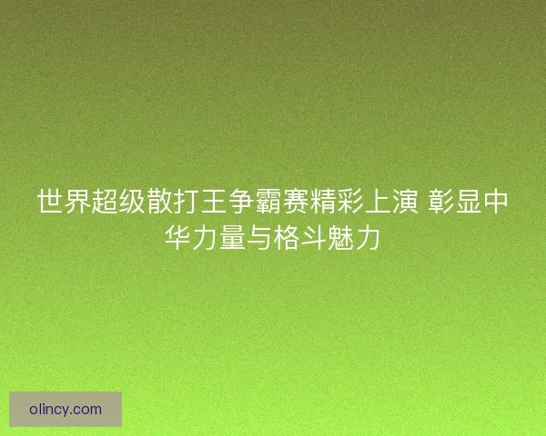 世界超级散打王争霸赛精彩上演 彰显中华力量与格斗魅力